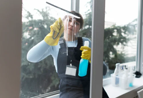 Nettoyage de vitres intérieures et extérieures à Mouzeil